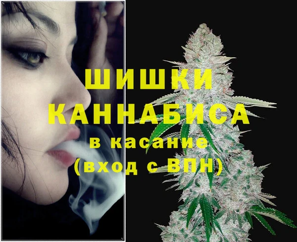 прущая мука Пересвет