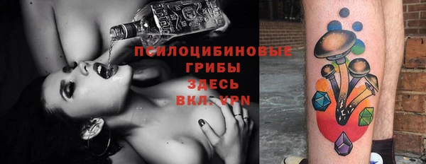 прущая мука Пересвет