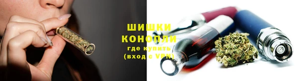 сатива Пестово