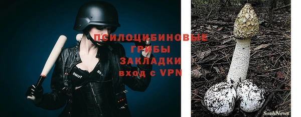 ПСИЛОЦИБИНОВЫЕ ГРИБЫ Переславль-Залесский