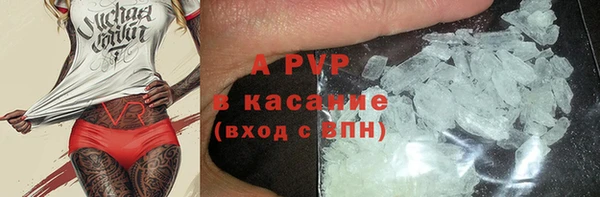 ПСИЛОЦИБИНОВЫЕ ГРИБЫ Переславль-Залесский