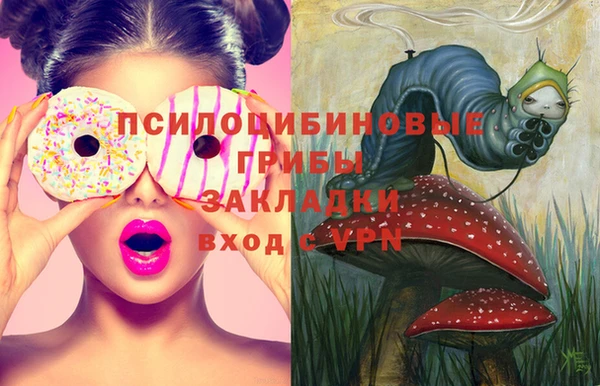 ПСИЛОЦИБИНОВЫЕ ГРИБЫ Переславль-Залесский