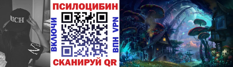 Купить  Сургут  Псилоцибиновые грибы GOLDEN TEACHER 