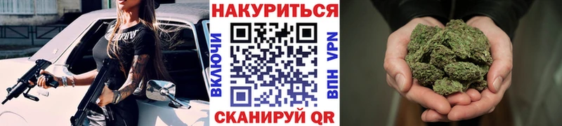 Бошки марихуана ГИДРОПОН  Купить  Сургут 
